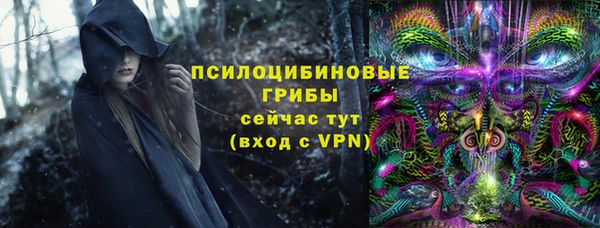 герыч Бронницы