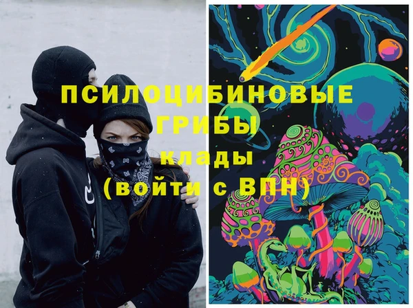 mdpv Пролетарск